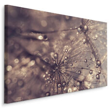 CANVAS Leinwand Bilder XXL