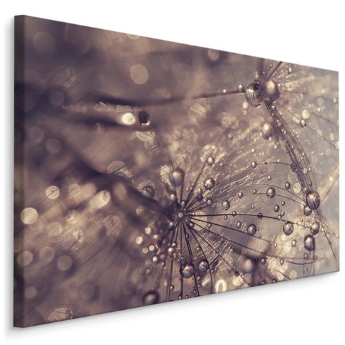 Canvas leinwand bilder xxl - bilder,