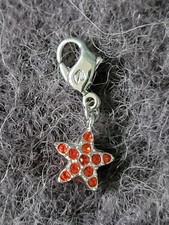 Neu ❗️Swarovski Charm