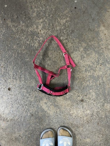 Pinker kappzaum von waldhausen - pinker,