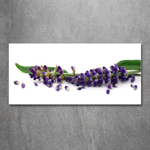 Glas bild wandbilder - wandbilder, druck