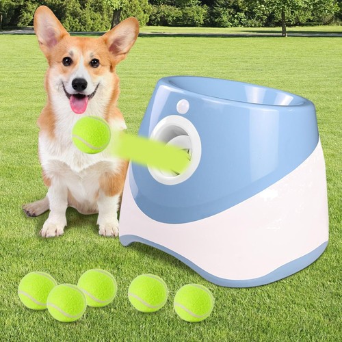 Hunde ballwurfmaschine mit - ballwurfmaschine,