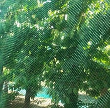 Vogelschutznetz Laubnetz Gartennetz Teichnetz Pflanzenschutznetz 19 Größen