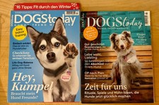 Zeitschrift DOGStoday Hunde Trendmagazin 3 Ausgaben (7/2020, 6/2021, 4/2015)