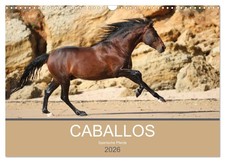 Caballos Spanische Pferde 2026