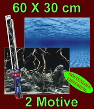 Aquarium Deko ❤️