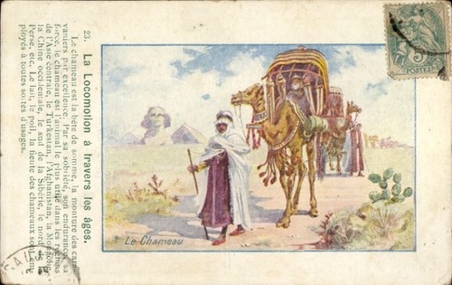 Litho égypte chameau la - litho,