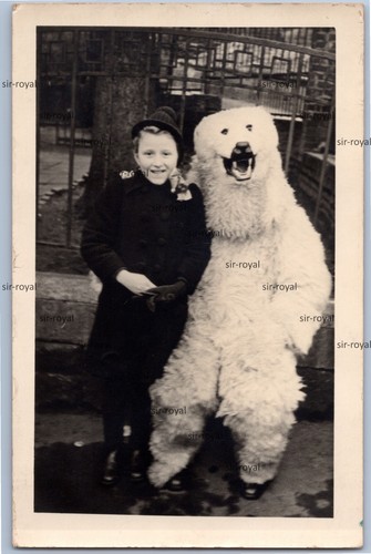 Mann eisbär kostüm - kostüm, mit