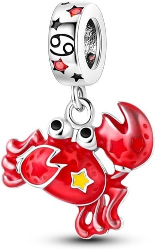 Pandach damen charm anhänger - damen,