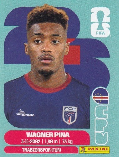 Panini sticker fußball - fußball, wm