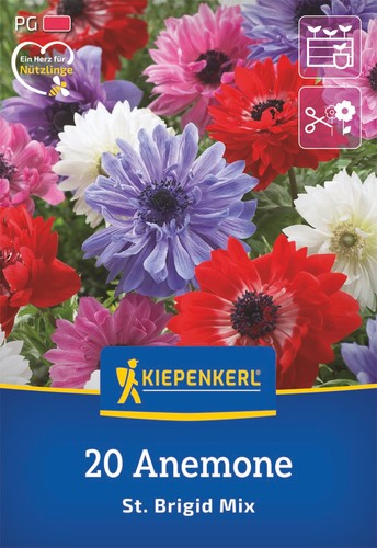 Kiepenkerl kronen anemonen - kiepenkerl, kronen-anemonen