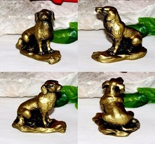 Chinesische Sternzeichen Hund