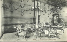 AK Horn bei Bad Meinberg Kreis Lippe - Jagdzimmer, Geweihe, Präparate - ca. 1900