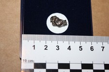 Eisenmeteorit Meteorit Argentinien (ESA 1 )