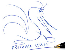 Klassischer Pelikan