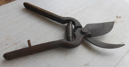 Schöne alte kleine astschere - kleine,