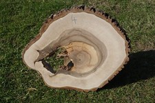 Baumscheibe Holzscheibe