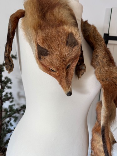 Alte fuchs stola - stola, vintage