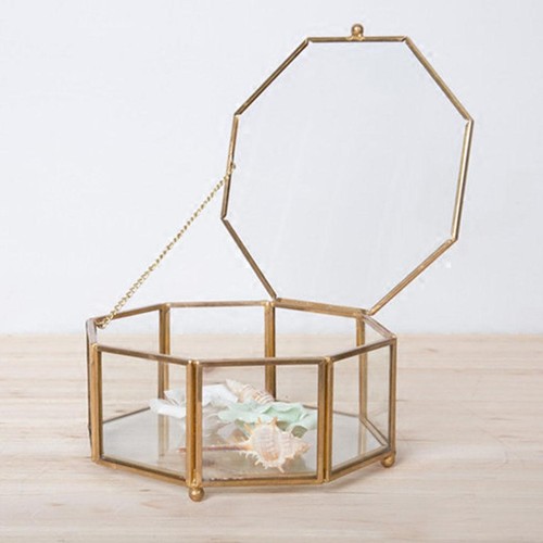 Geometrischer terrarium - geometrischer,