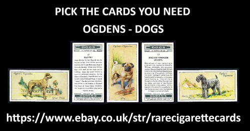 Ogdens hunde wählen sie - ogdens,