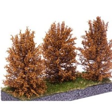 Busch braun 3 Stück - 10-12cm