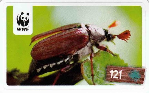 Rewe wwf tier abenteuer - wwf,