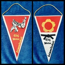 RAR Orig. DDR Wimpel BSG Motor