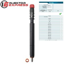 EJBR04501D Delphi Injektor