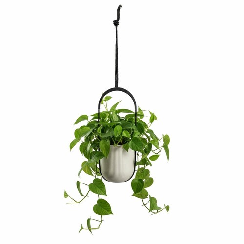 Aera hang hängepflanzgefäß - aera,