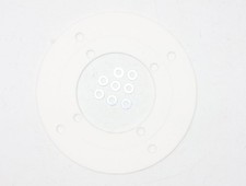 3910319 Wolf Brennerdichtung