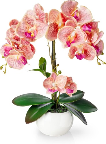 Orchideen künstlich in - ®,