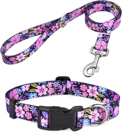Hundehalsband mit leine set - hundehalsband,
