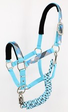 Mustang Halfter Verona mit Strick Pferde Reiten alle Größen Türkis