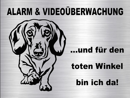 Dackel kurzhaardackel - dackel,