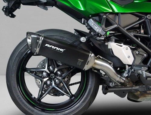 Kawasaki ninja bodis - kawasaki,