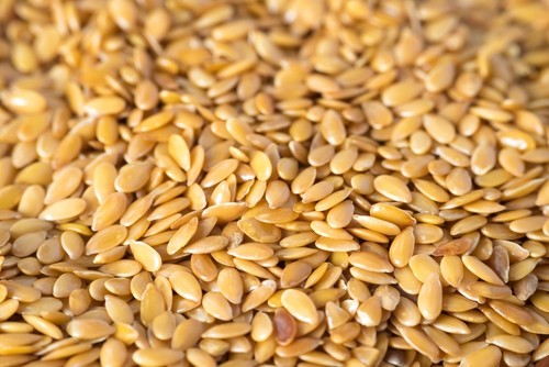 1000g leinsamen leinsaat - leinsamen,