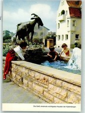 10335123 - 8079 Kipfenberg Geissbock