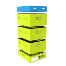 BeePoint Bienenbeute 10er