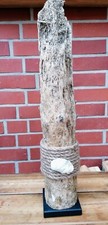 Treibholz Schwemmholz Stele Skulptur Deko Statue Holz Schiffsbohrmuschel Auster