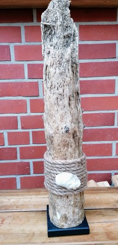 Treibholz schwemmholz stele - treibholz,