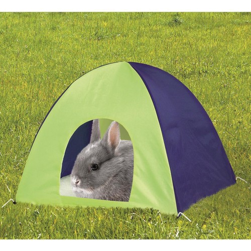 Rody camp kaninchen - camp,