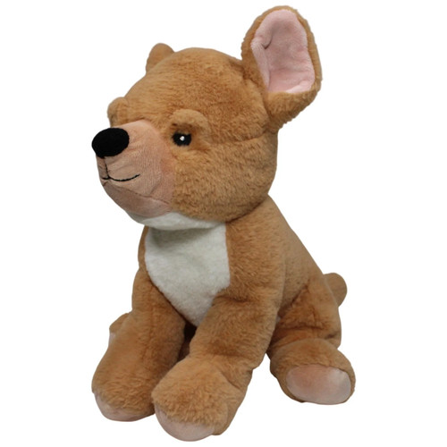 Lelly hund chihuahua - lelly,