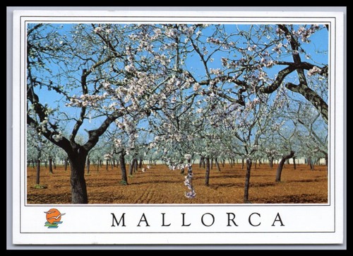Ansichtskarte mallorca - ansichtskarte,
