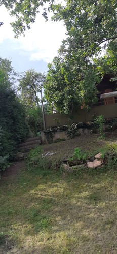 Garten grundstück - garten,