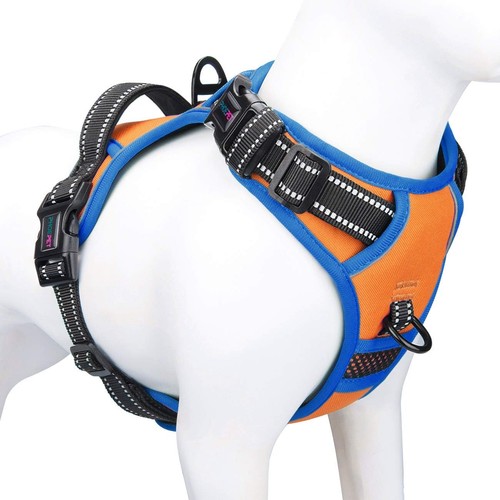 Phoepet 2019 - phoepet,