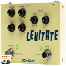 Delay Reverb 2 in 1 Digital