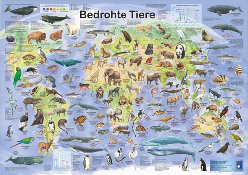 Bio poster bedrohte - "bedrohte, tiere"