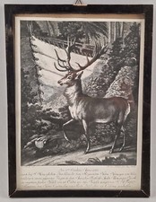 9163003 Gerahmter Kunstdruck nach Riedinger Hirsch 36 x 27 cm