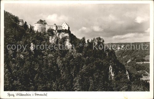 Burg wildenstein - burg,