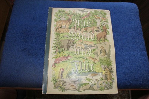 Aus wald und - aus,